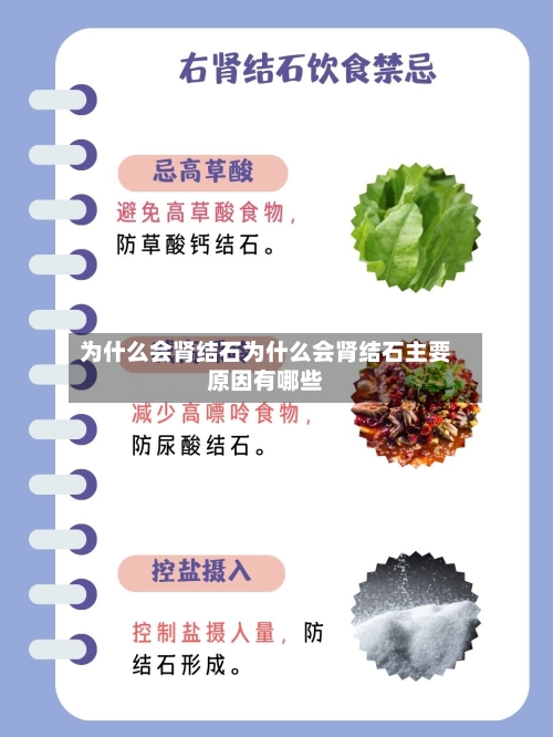 为什么会肾结石为什么会肾结石主要原因有哪些