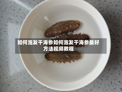 如何泡发干海参如何泡发干海参最好方法视频教程