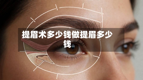 提眉术多少钱做提眉多少钱
