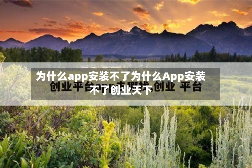 为什么app安装不了为什么App安装不了创业天下