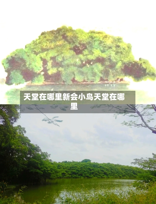 天堂在哪里新会小鸟天堂在哪里