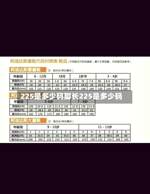 225是多少码脚长225是多少码
