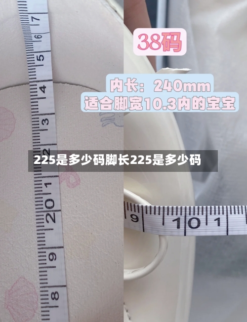225是多少码脚长225是多少码