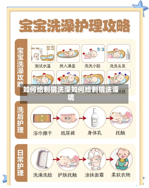 如何给刺猬洗澡如何给刺猬洗澡呢