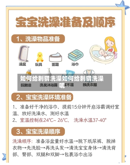 如何给刺猬洗澡如何给刺猬洗澡呢