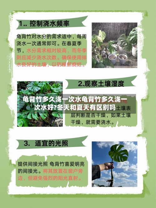 龟背竹多久浇一次水龟背竹多久浇一次水好?冬天和夏天有区别吗