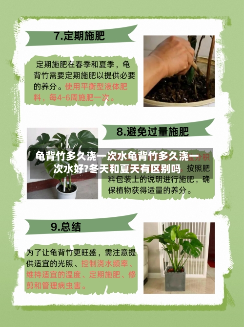 龟背竹多久浇一次水龟背竹多久浇一次水好?冬天和夏天有区别吗
