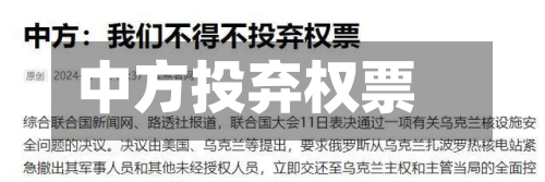 中方投弃权票