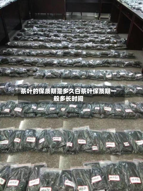 茶叶的保质期是多久白茶叶保质期一般多长时间