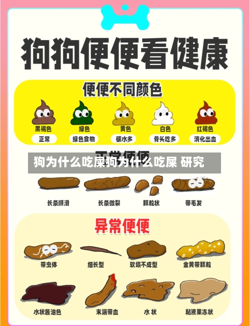 狗为什么吃屎狗为什么吃屎 研究