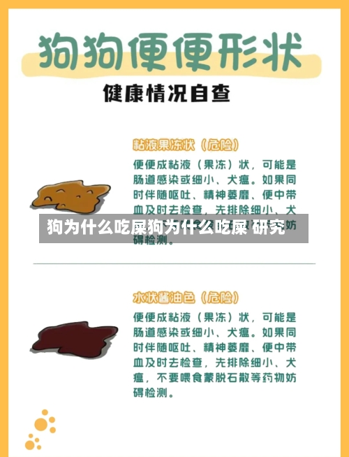 狗为什么吃屎狗为什么吃屎 研究