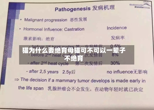 猫为什么要绝育母猫可不可以一辈子不绝育
