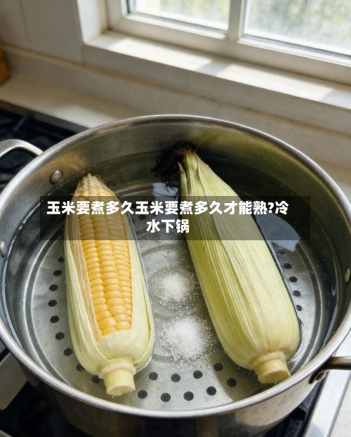 玉米要煮多久玉米要煮多久才能熟?冷水下锅