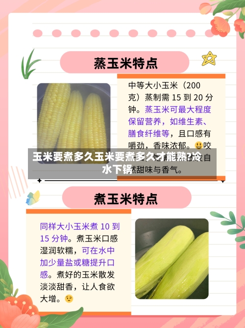 玉米要煮多久玉米要煮多久才能熟?冷水下锅