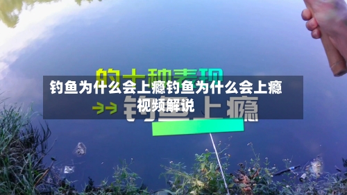 钓鱼为什么会上瘾钓鱼为什么会上瘾视频解说
