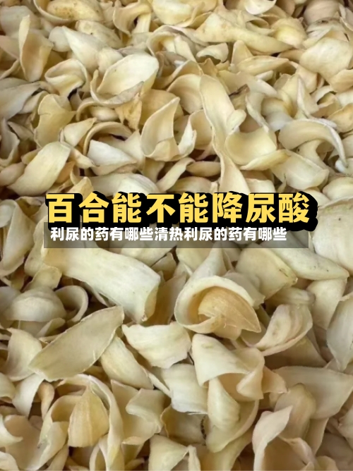 利尿的药有哪些清热利尿的药有哪些