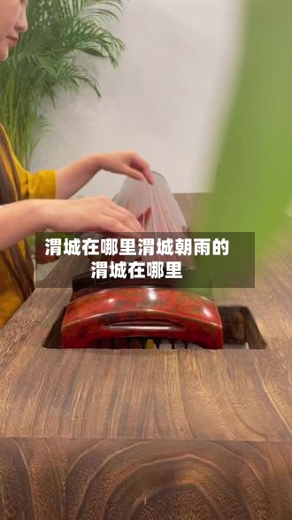 渭城在哪里渭城朝雨的渭城在哪里