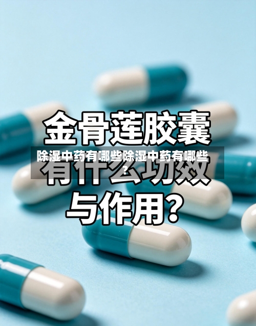 除湿中药有哪些除湿中药有哪些?