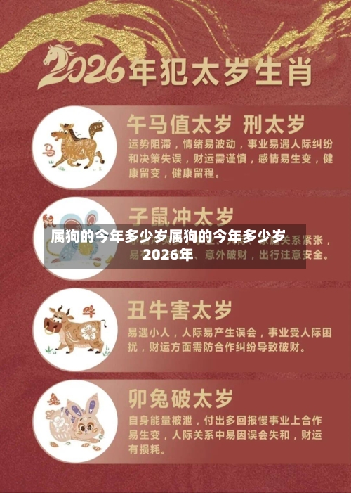 属狗的今年多少岁属狗的今年多少岁2026年
