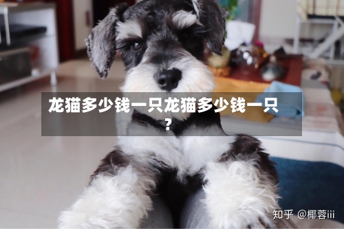 龙猫多少钱一只龙猫多少钱一只?